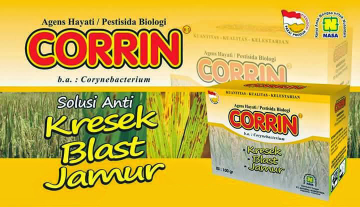 Brosur Corrin